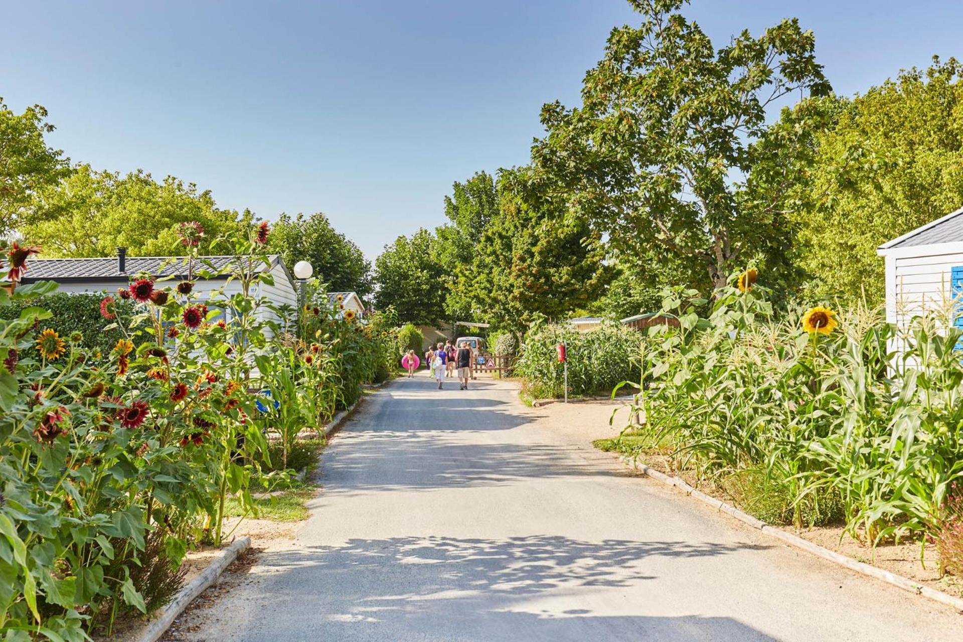 Campsite Paradis La Grand'metairie 4*