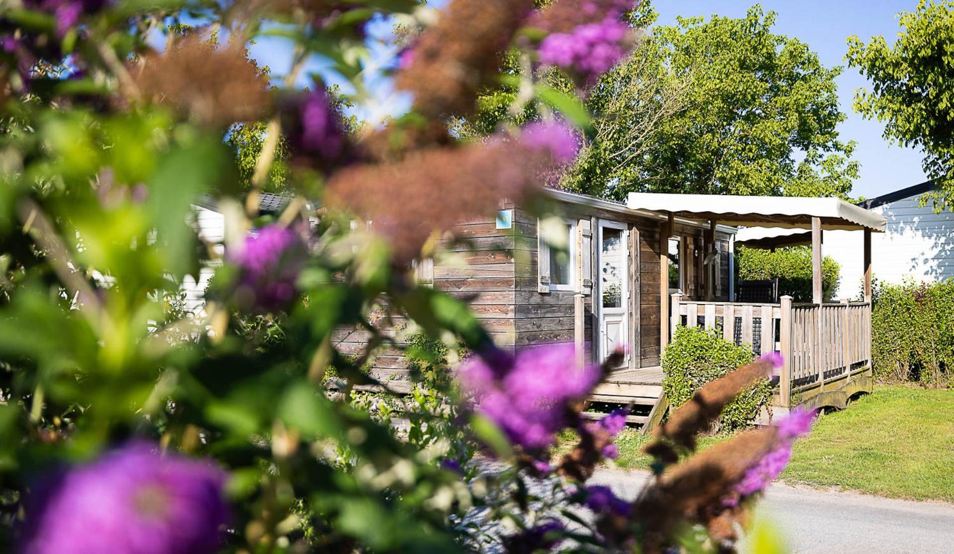 Paradis La Grand'metairie Saint-Hilaire-la-Foret