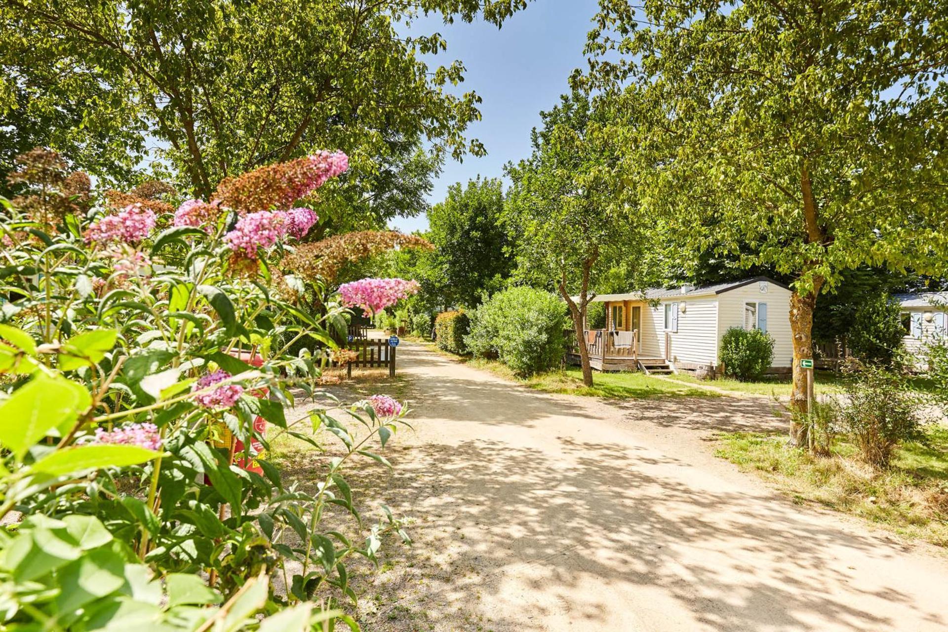 La Grand'métairie Camping Saint-Hilaire-la-Forêt
