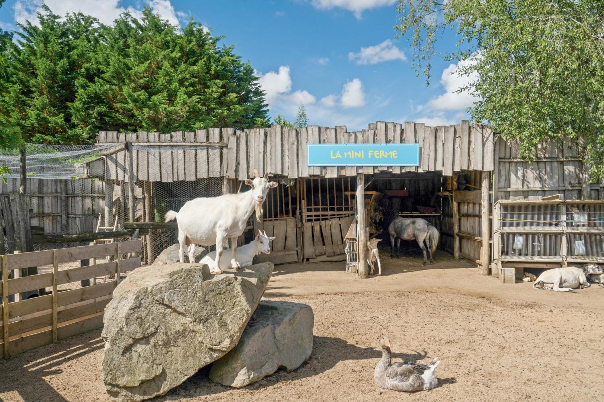 Campsite Paradis La Grand'metairie